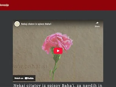 Visit original website
